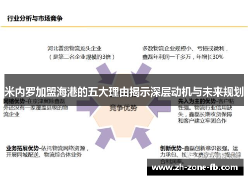 米内罗加盟海港的五大理由揭示深层动机与未来规划