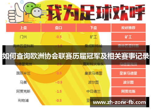 如何查询欧洲协会联赛历届冠军及相关赛事记录