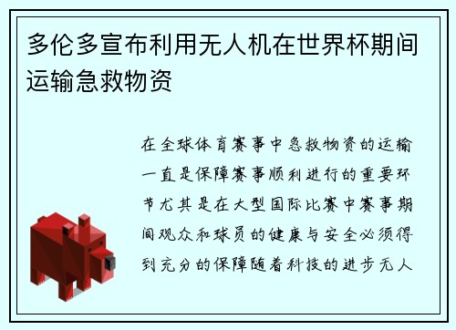 多伦多宣布利用无人机在世界杯期间运输急救物资 多伦多宣布利用无人机在世界杯期间运输急救物资